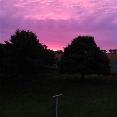 乐鱼app(中国体育)官方网站app下载